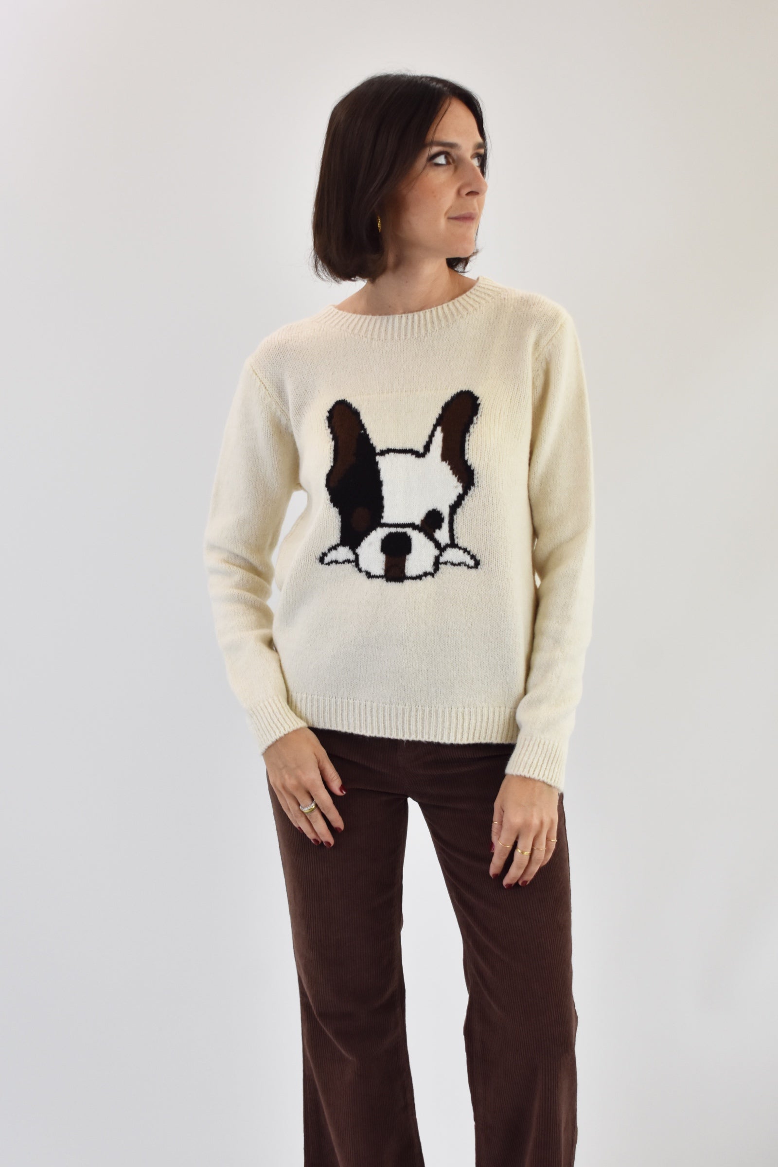 Maglia intarsio bulldog