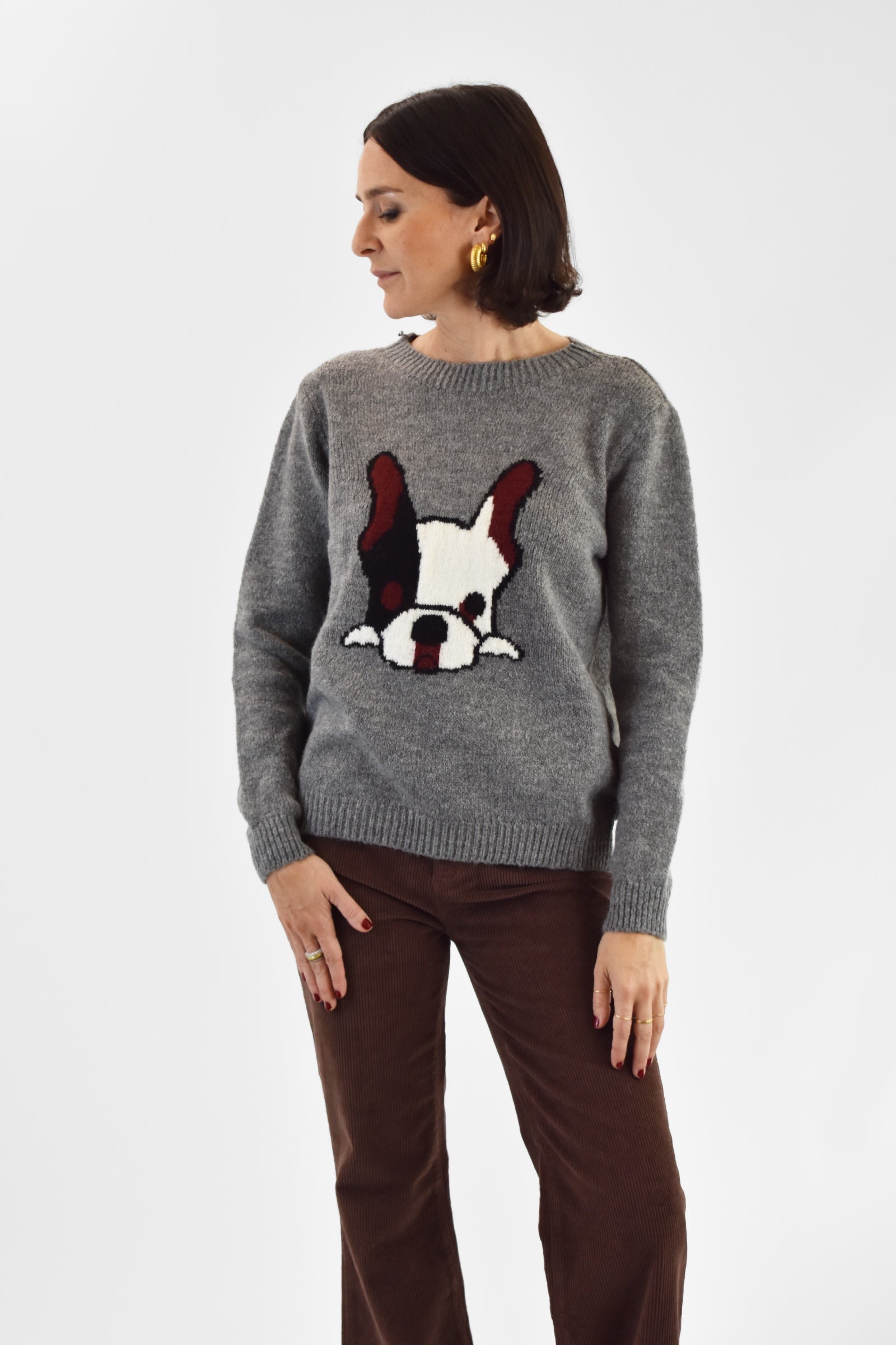 Maglia intarsio bulldog