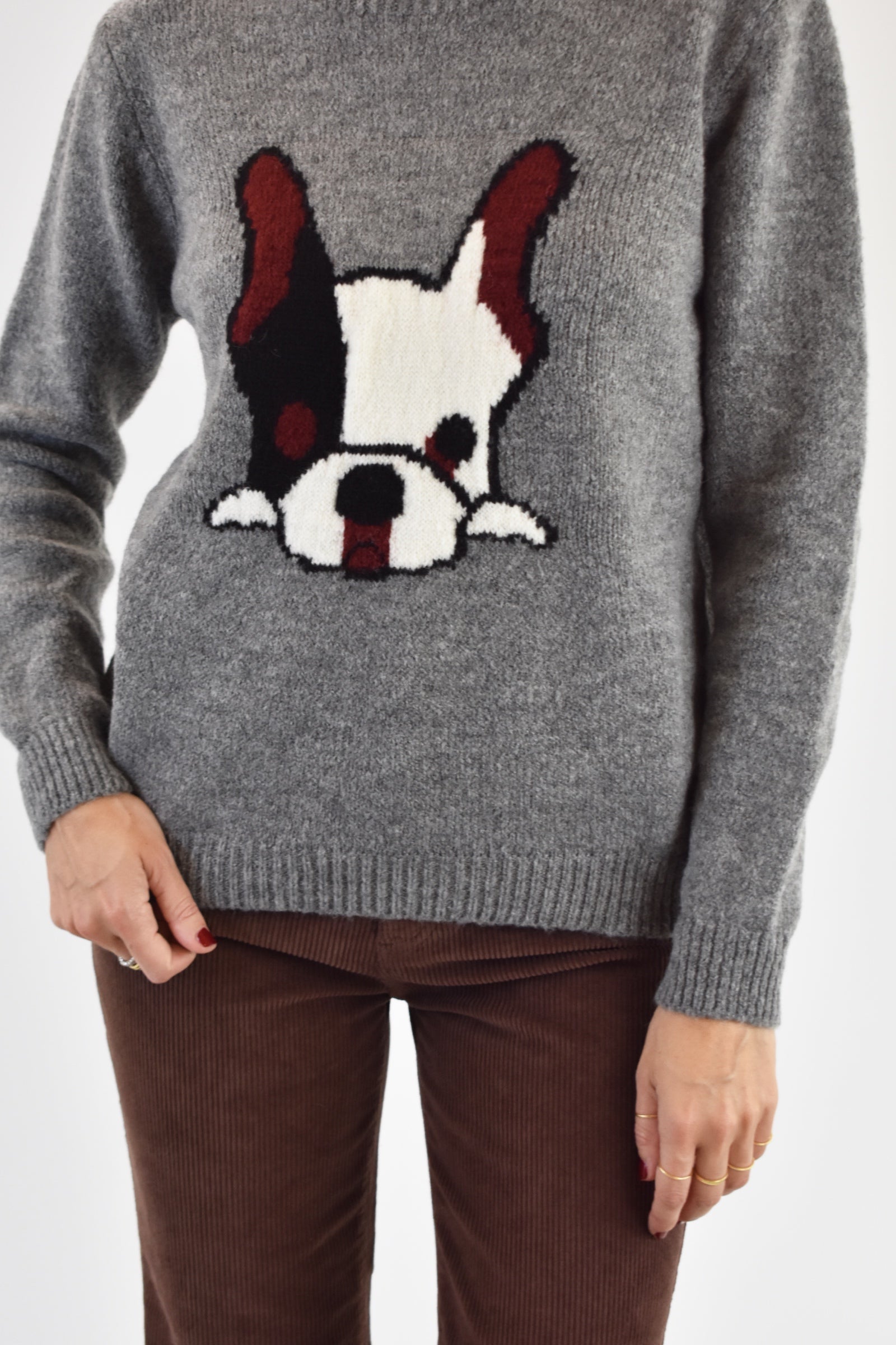 Maglia intarsio bulldog