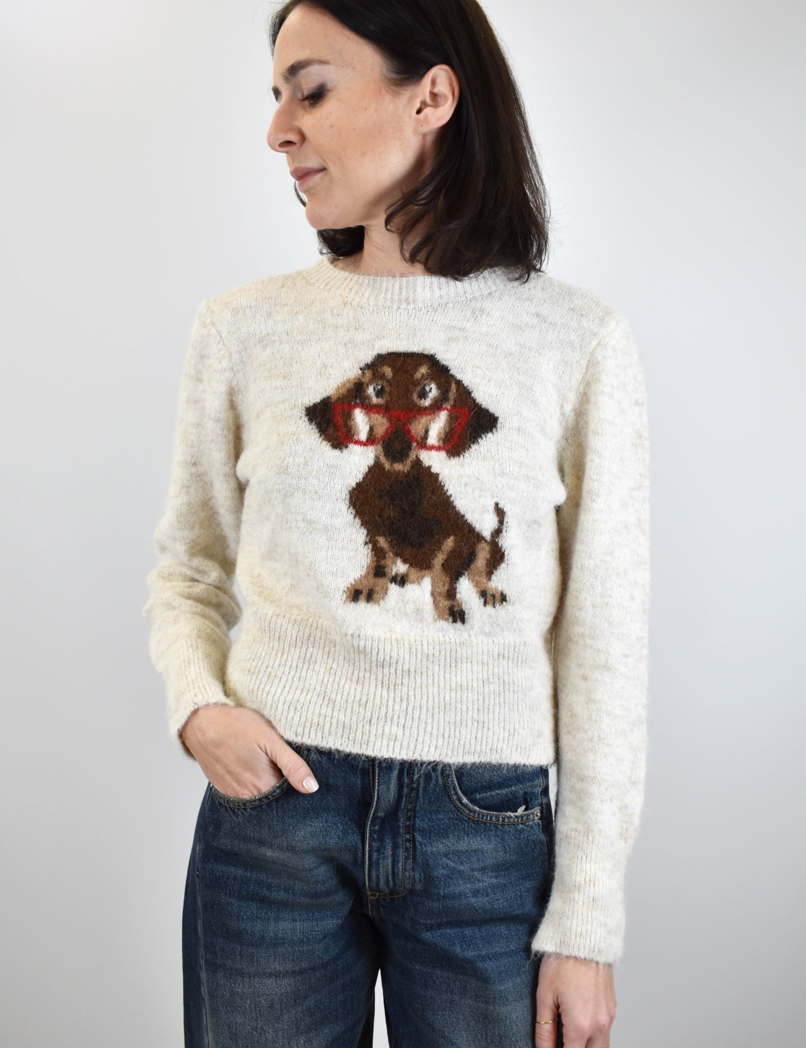 Maglia bassotto occhiali