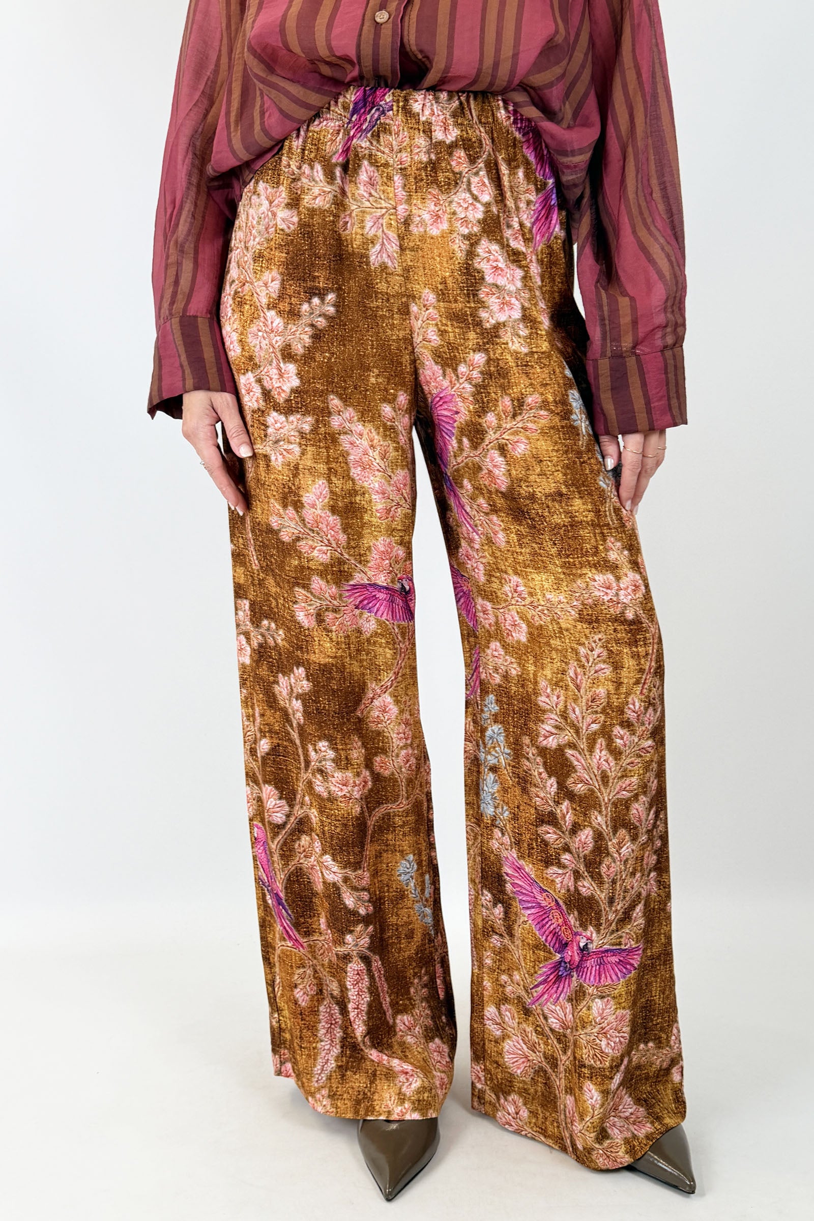 Pantalone pappagalli-PREORDER